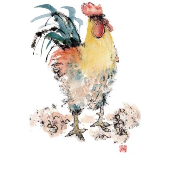 Cockerel V