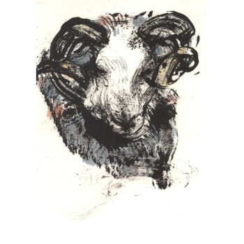 Swaledale Tup Buff II