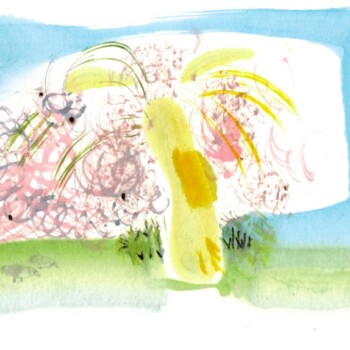 Cherry blossom