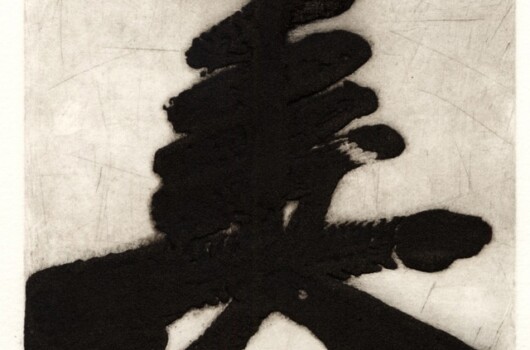 <p style="text-align: center;"><span style="font-size: 14pt;">Calligraphy</span></p>