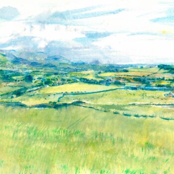 Midsummer Blunderfield