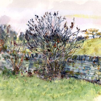 Winter garden High Bank Hill
